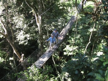 Canopy walkway
