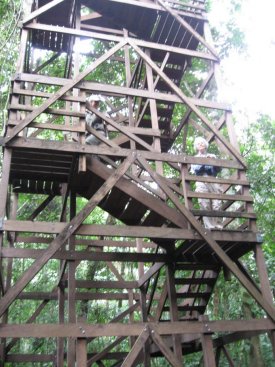 Part-way up the tower