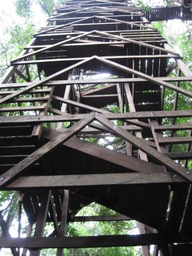 Looking up the tower