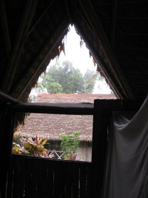 Thru cabin window