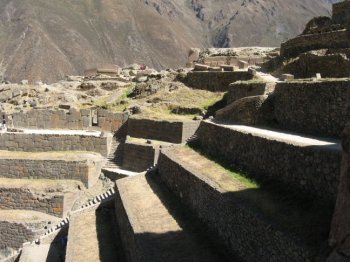 Terraces