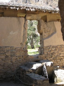 Window