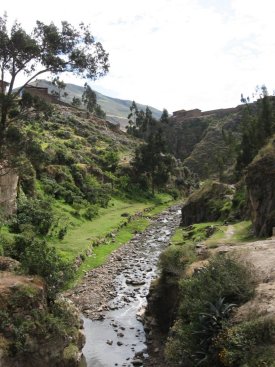Stream
