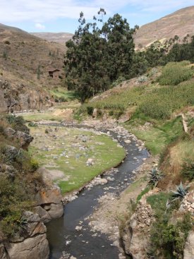 Stream