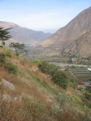 Moche Valley