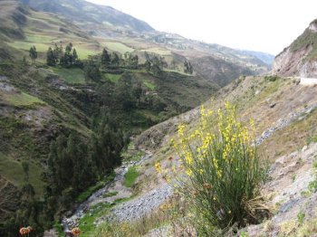 Moche Valley